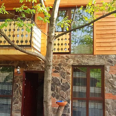 Levani'S Cottage Borzsomi Kültér fotó