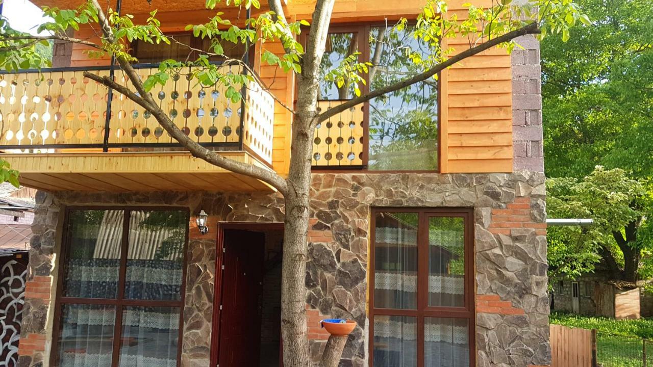 Levani'S Cottage Borzsomi Kültér fotó