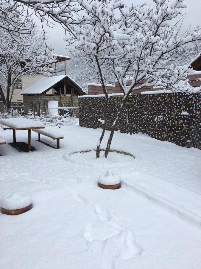 Levani'S Cottage Borzsomi Kültér fotó